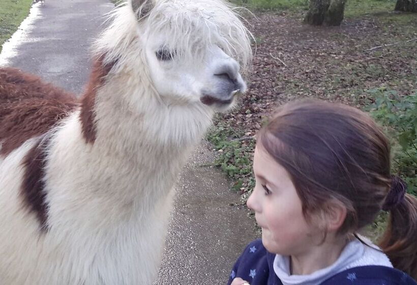 مبيت وإفطار Les Hauts De Hurlevents   Le Buffalo