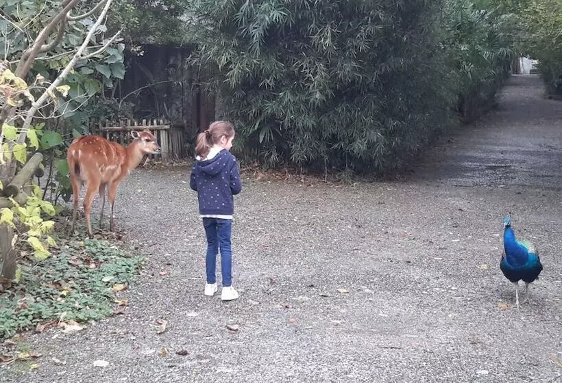 Aamiaismajoitus (B&B) Les Hauts De Hurlevents   Le Buffalo