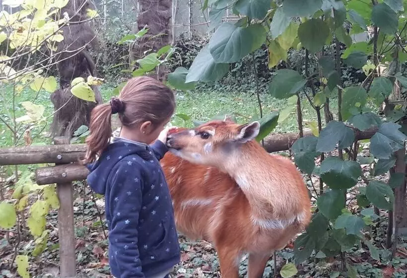 Aamiaismajoitus (B&B) Les Hauts De Hurlevents   Le Buffalo