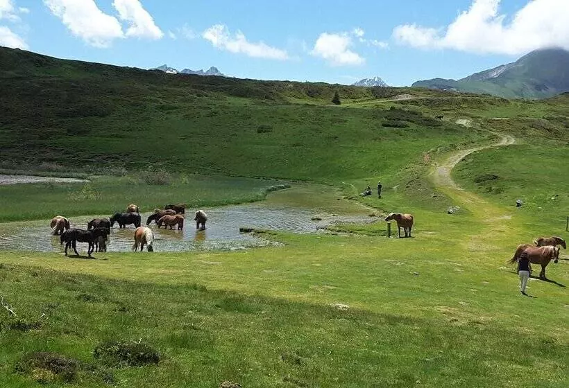 Aamiaismajoitus (B&B) Les Hauts De Hurlevents   Le Buffalo