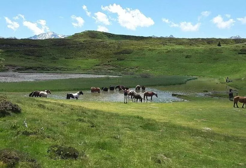 Aamiaismajoitus (B&B) Les Hauts De Hurlevents   Le Buffalo