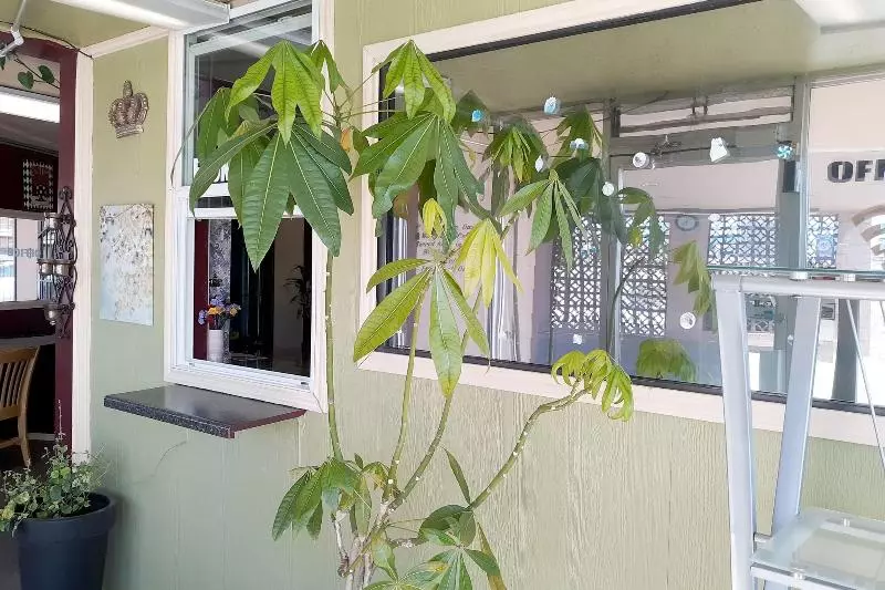 Hotelli Kings At Clovis