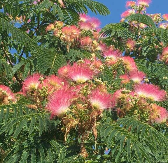 ペンション La Bastide Des Cades