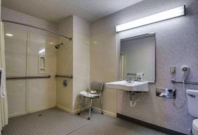 酒店 Americas Best Value Inn Midlothian