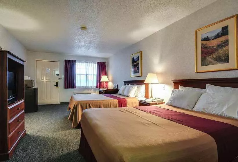 酒店 Americas Best Value Inn Midlothian