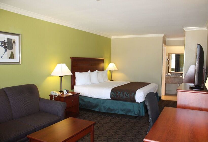 Отель Best Western Paradise Inn