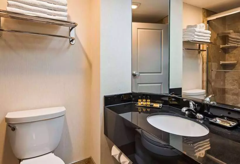 هتل Best Western Plus Inntowner Madison