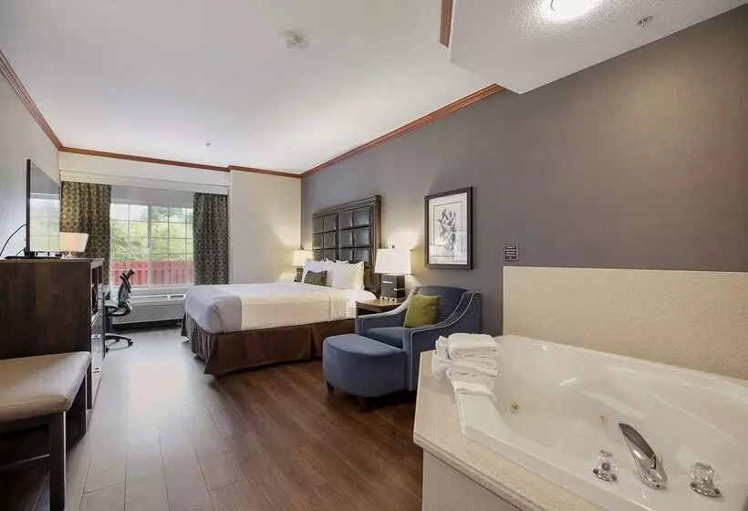 酒店 Best Western Plus Northwind Inn & Suites