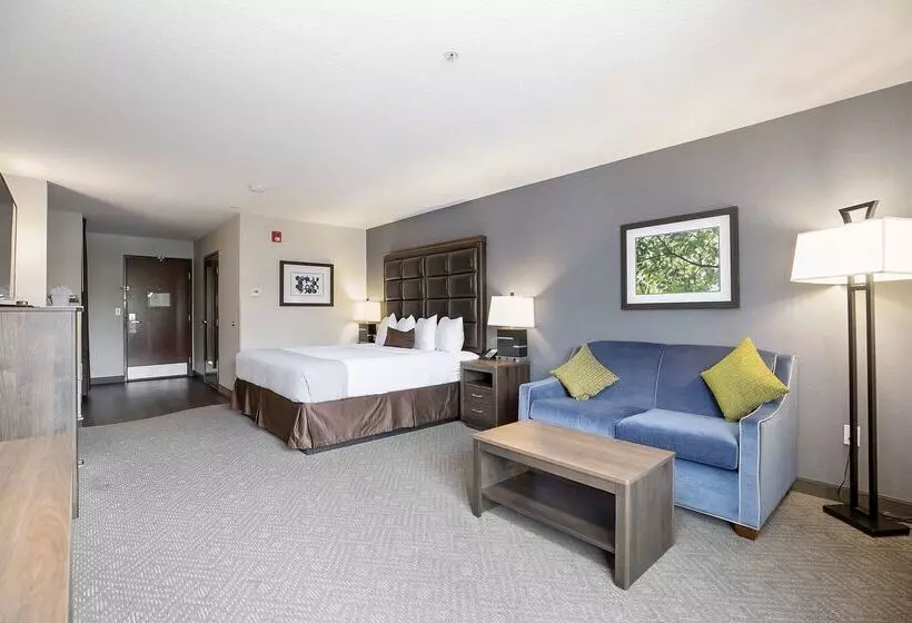 酒店 Best Western Plus Northwind Inn & Suites