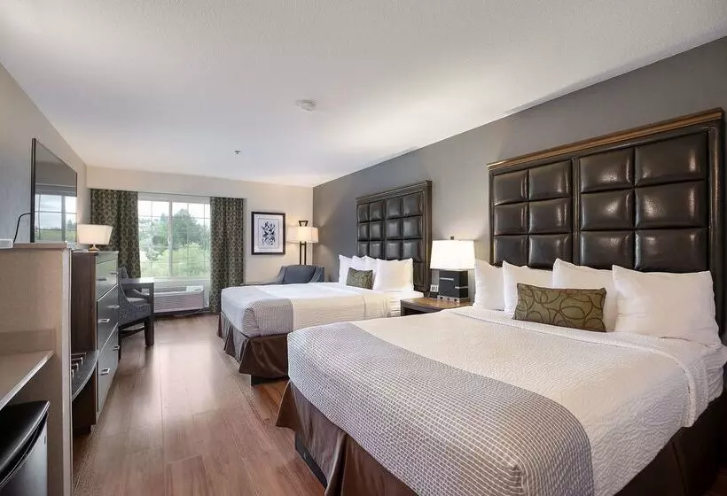 酒店 Best Western Plus Northwind Inn & Suites