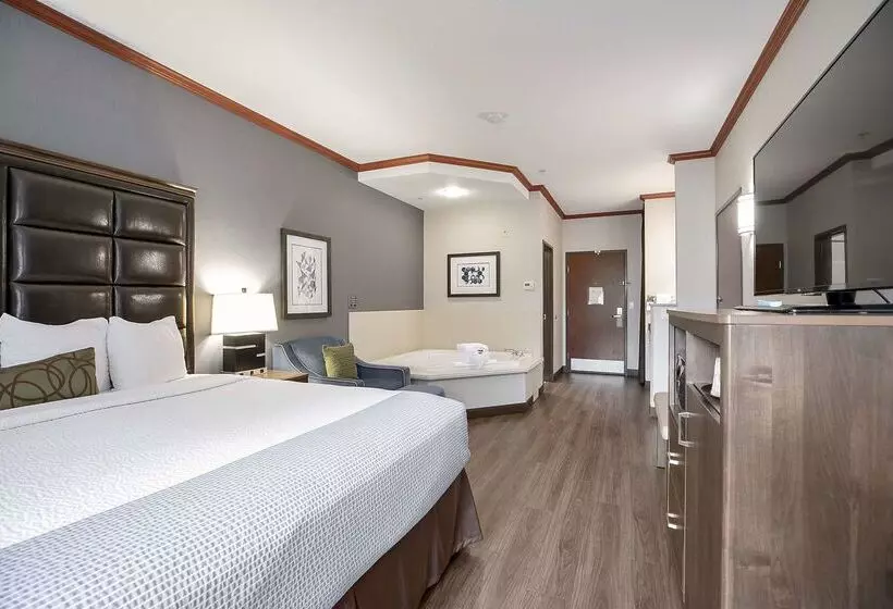 酒店 Best Western Plus Northwind Inn & Suites