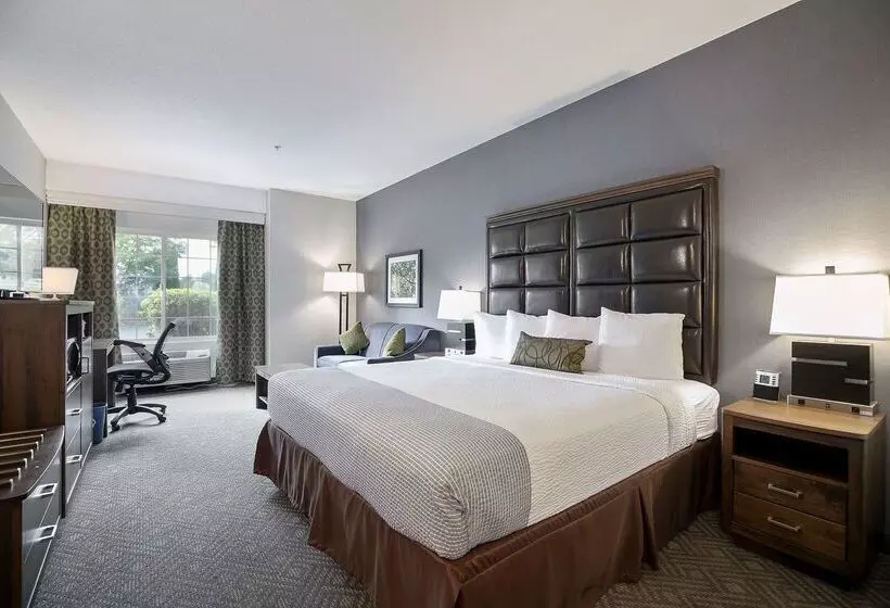 酒店 Best Western Plus Northwind Inn & Suites