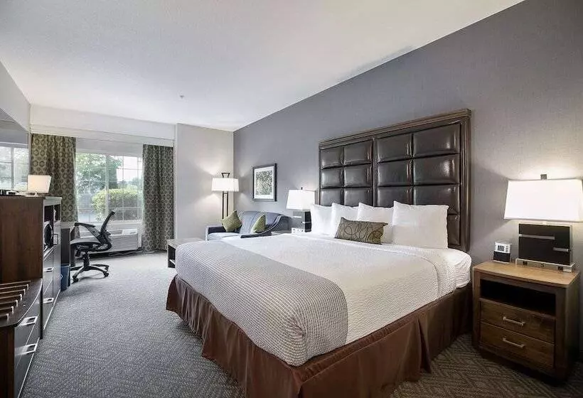 酒店 Best Western Plus Northwind Inn & Suites