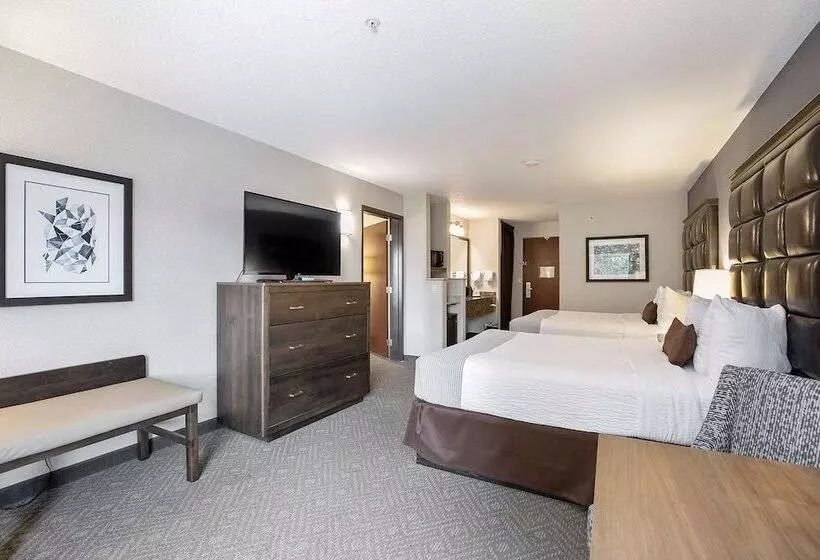 酒店 Best Western Plus Northwind Inn & Suites