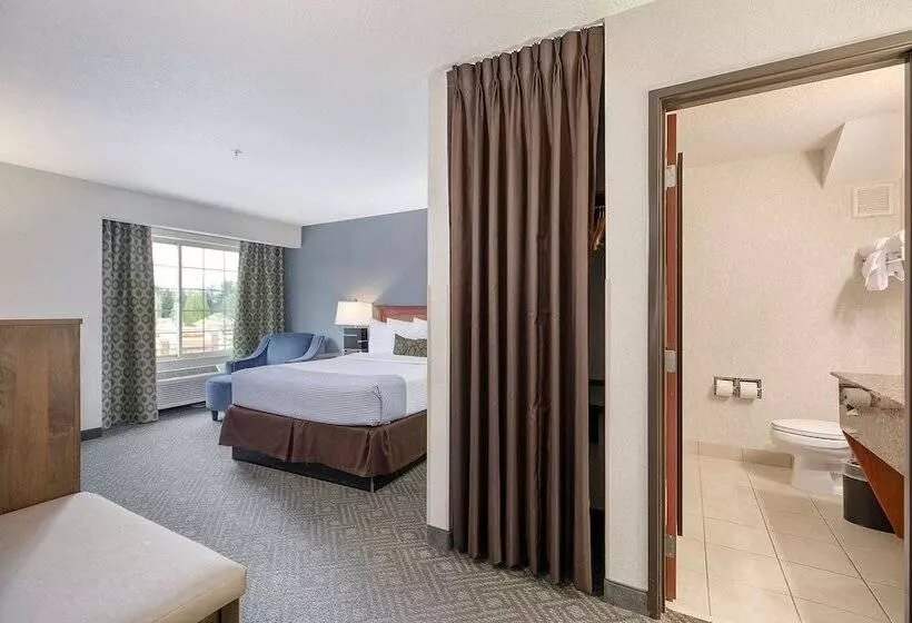酒店 Best Western Plus Northwind Inn & Suites