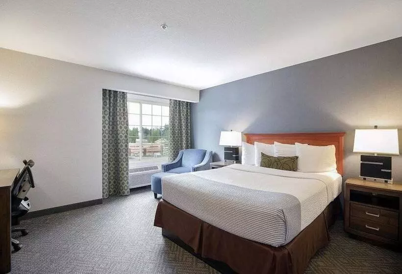 酒店 Best Western Plus Northwind Inn & Suites