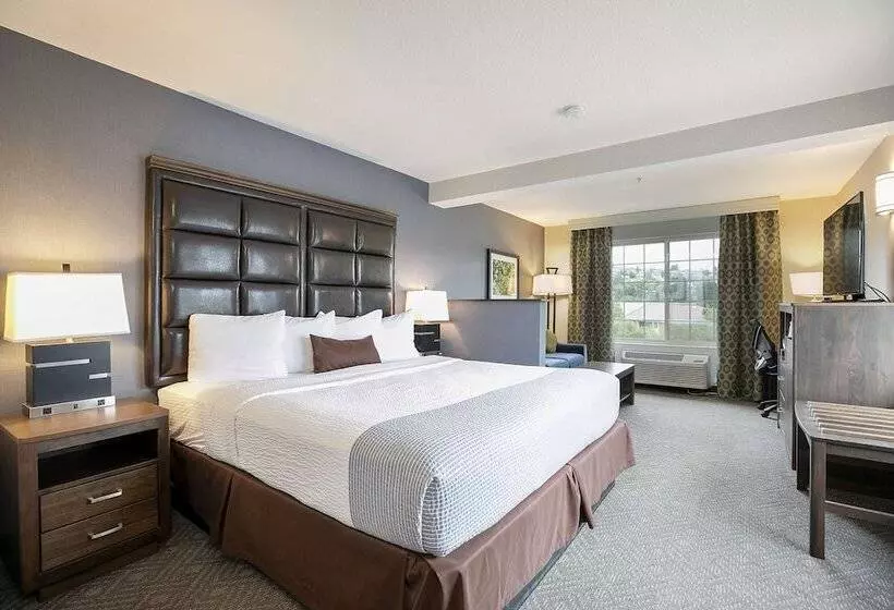 酒店 Best Western Plus Northwind Inn & Suites