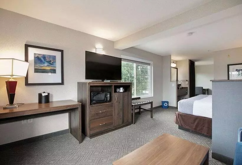 酒店 Best Western Plus Northwind Inn & Suites