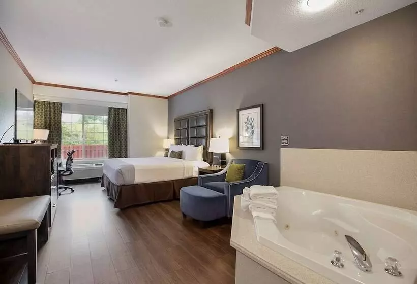 酒店 Best Western Plus Northwind Inn & Suites