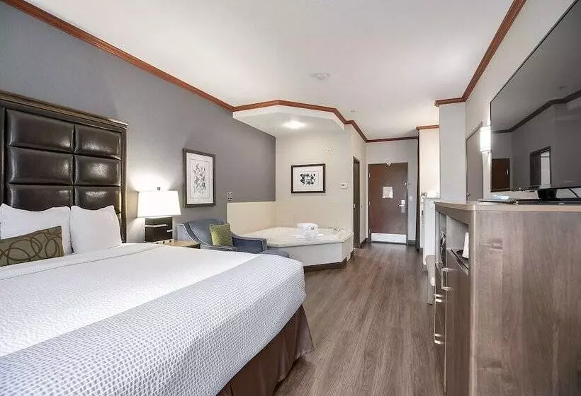 酒店 Best Western Plus Northwind Inn & Suites