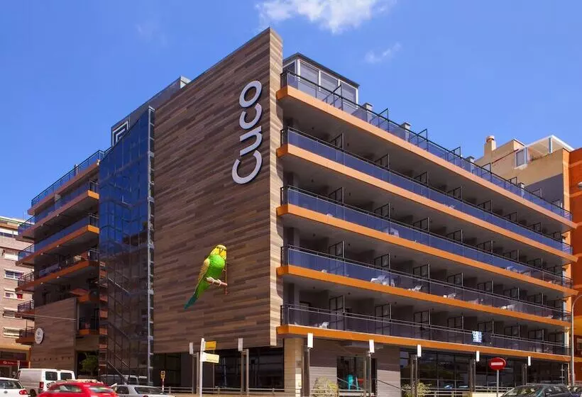 בית מלון כפרי Cuco