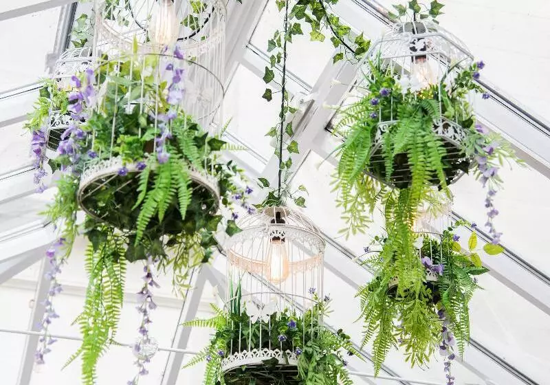 בית מלון כפרי Episode