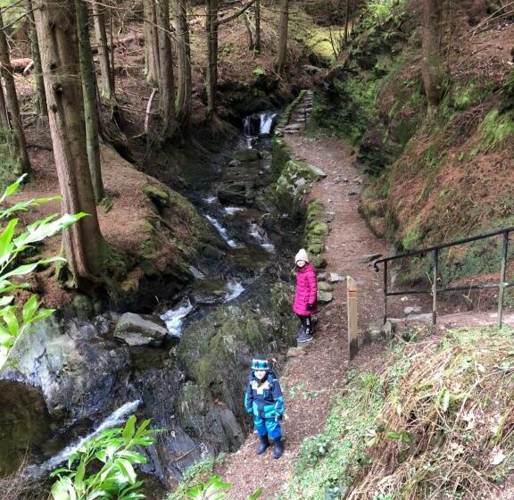 Отель St Ives Boutique