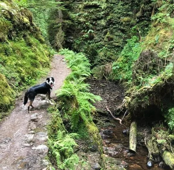 Hotel St Ives Boutique