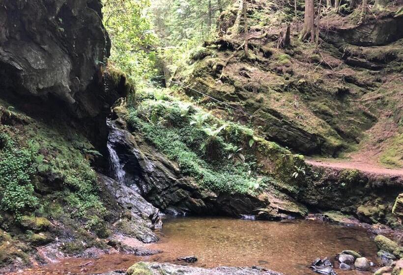 Отель St Ives Boutique