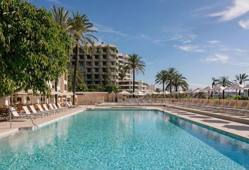 فندق Victoria Gran Meliá