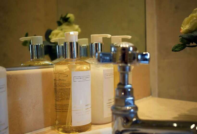 酒店 The Windsor Town House