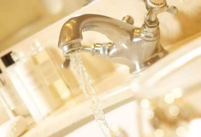 فندق The Windsor Town House