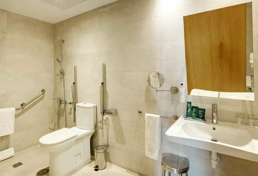 Sercotel Alcala 611