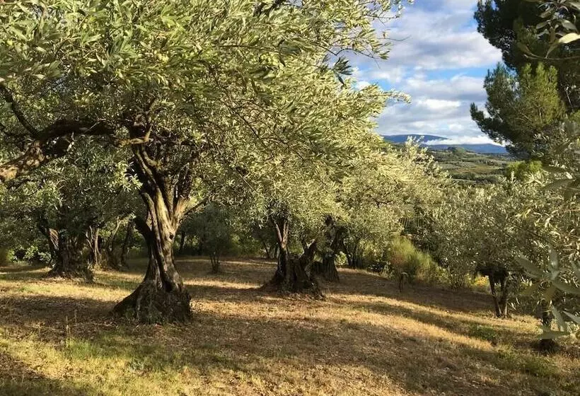 ペンション Chambres D Hôtes  La Villa Des Poètes