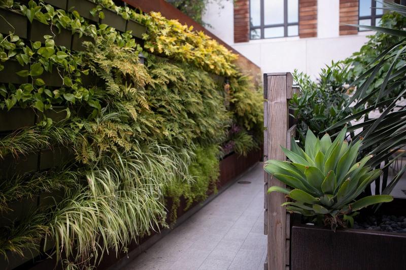 هتل Cerro, Autograph Collection