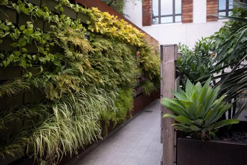 Hotelli Cerro, Autograph Collection