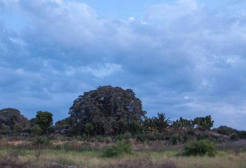 هتل East Surf Cabanas