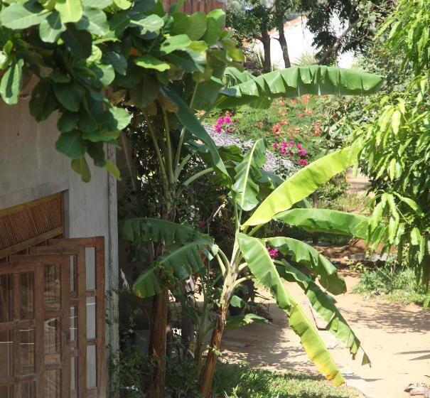 هتل East Surf Cabanas