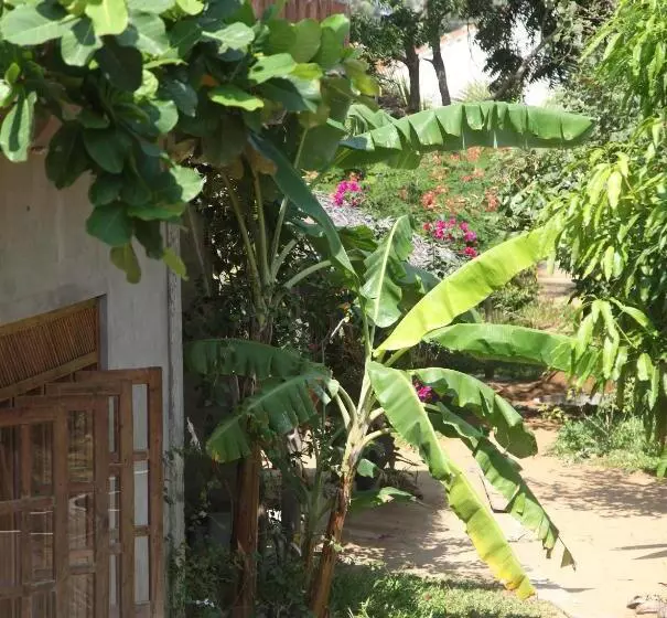 Hotelli East Surf Cabanas