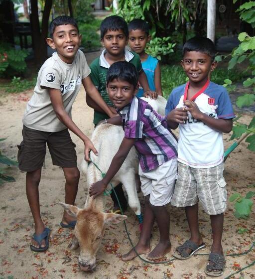 هتل East Surf Cabanas