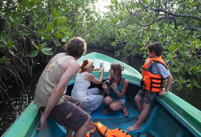 هتل East Surf Cabanas