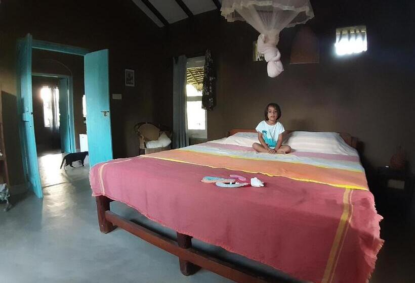 هتل East Surf Cabanas