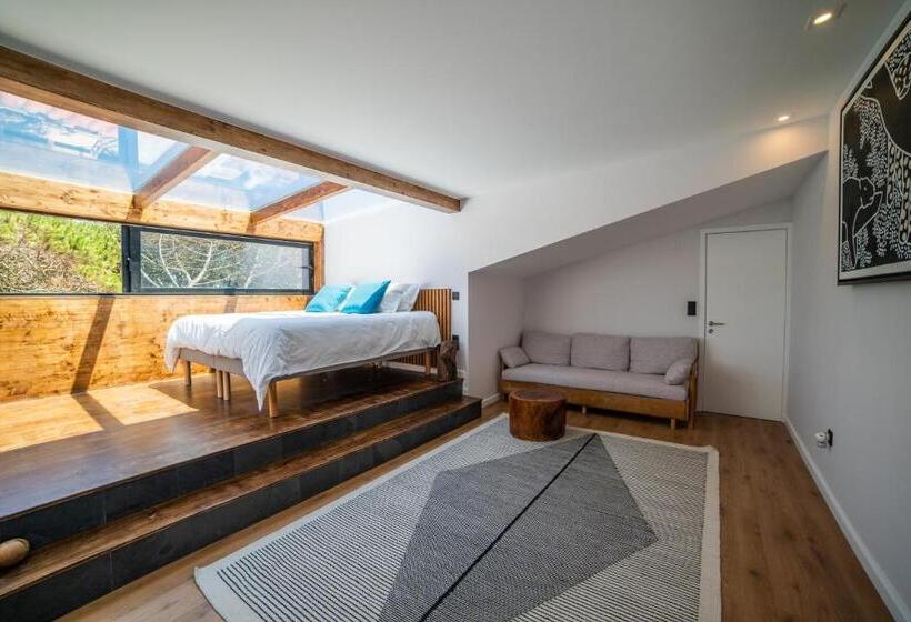 هتل Sense Of Ofir