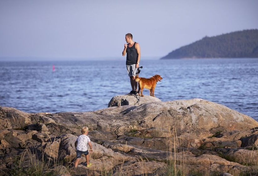 First Camp Fläsian   Sundsvall