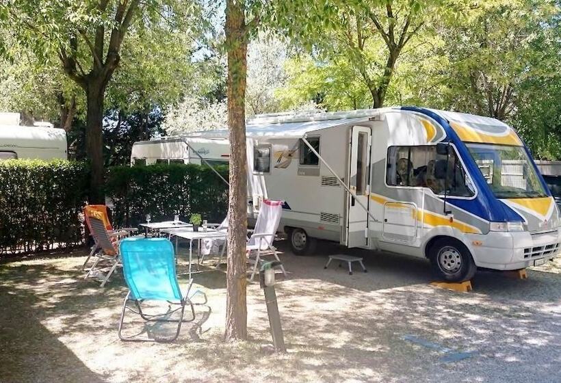 Отель Camping & Bungalows Suspiro Del Moro