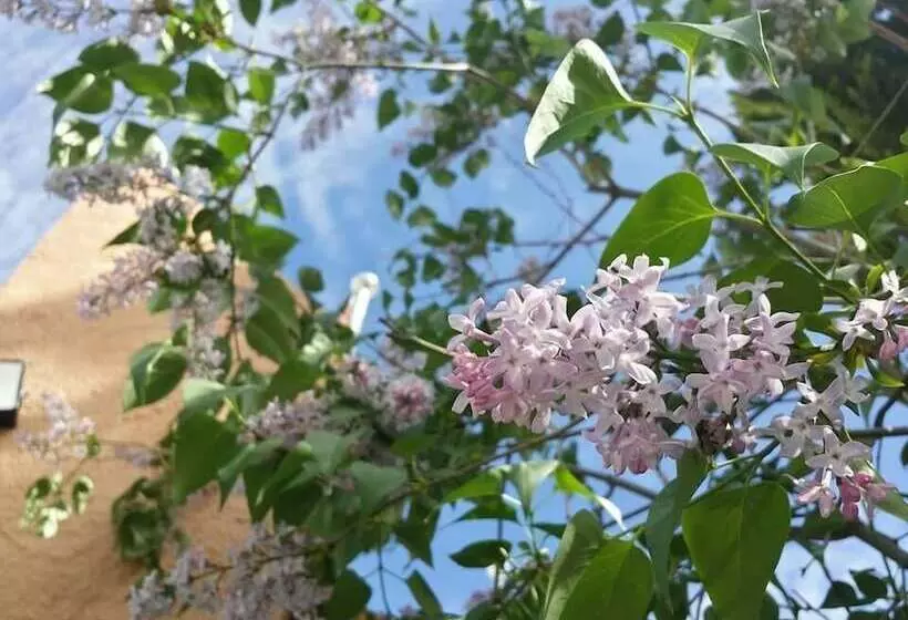 ホテル Camping & Bungalows Suspiro Del Moro