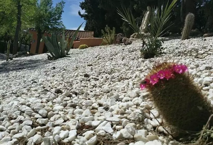 ホテル Camping & Bungalows Suspiro Del Moro