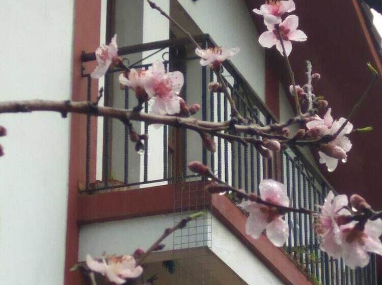 Сельский отель Agroturismo Amalur