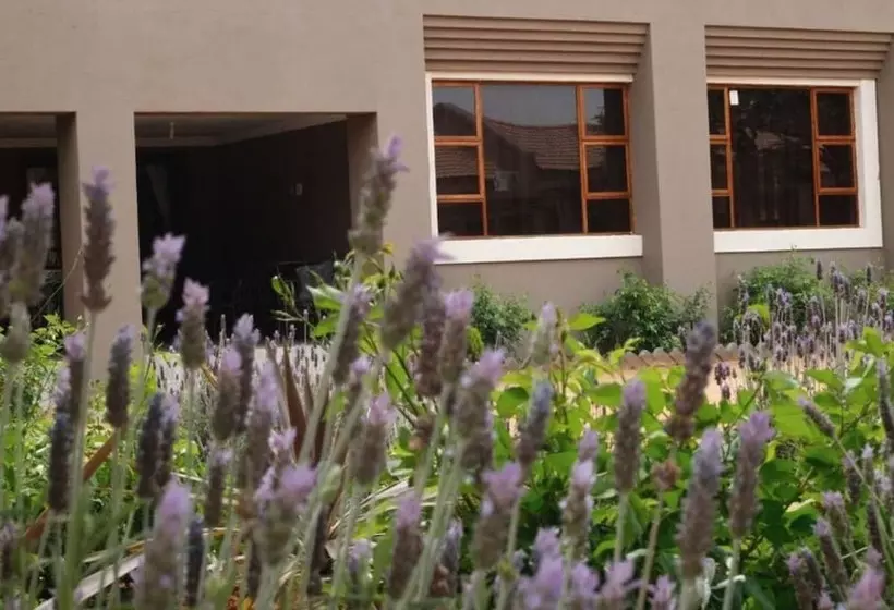ペンション Ein Gedi Premier Lodge