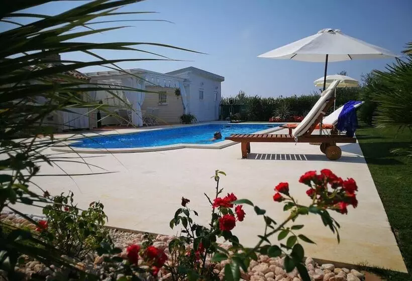 ペンション Villa Anamarija